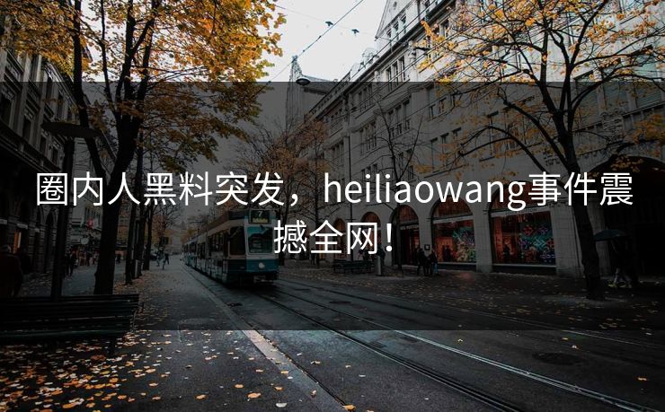 圈内人黑料突发，heiliaowang事件震撼全网！