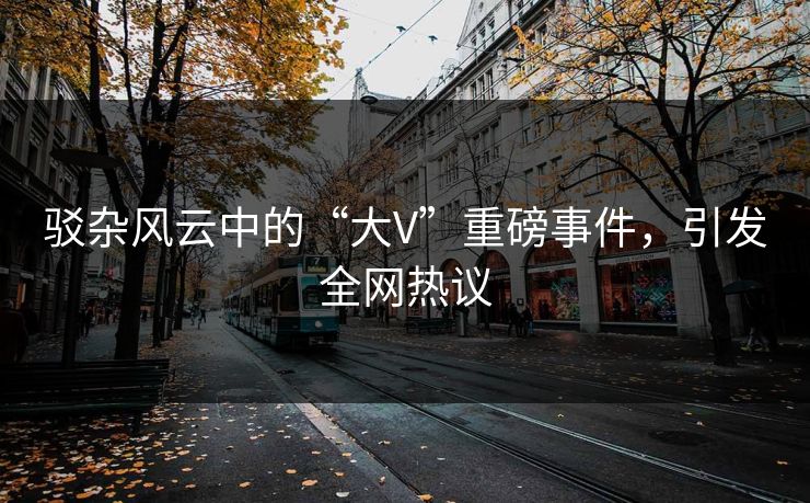 驳杂风云中的“大V”重磅事件，引发全网热议