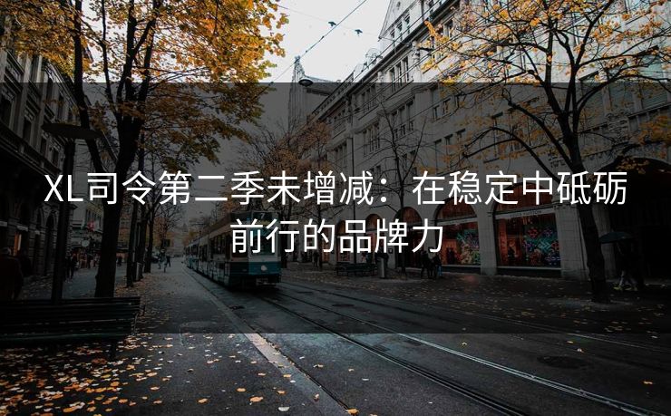 XL司令第二季未增减：在稳定中砥砺前行的品牌力