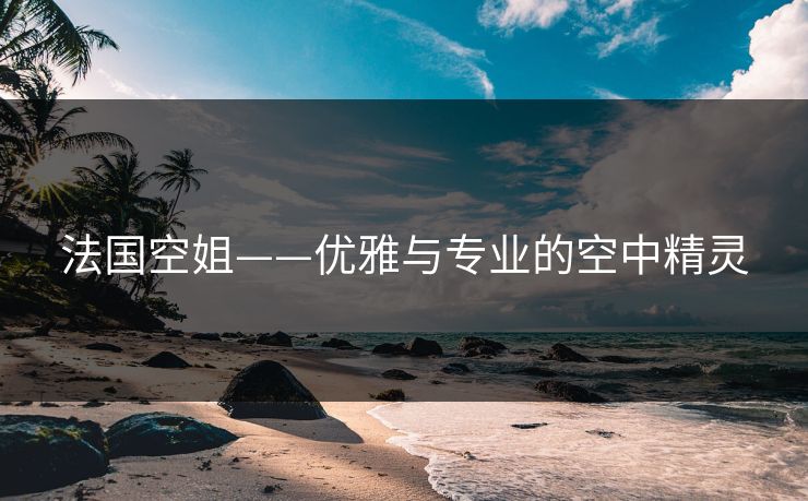 法国空姐——优雅与专业的空中精灵