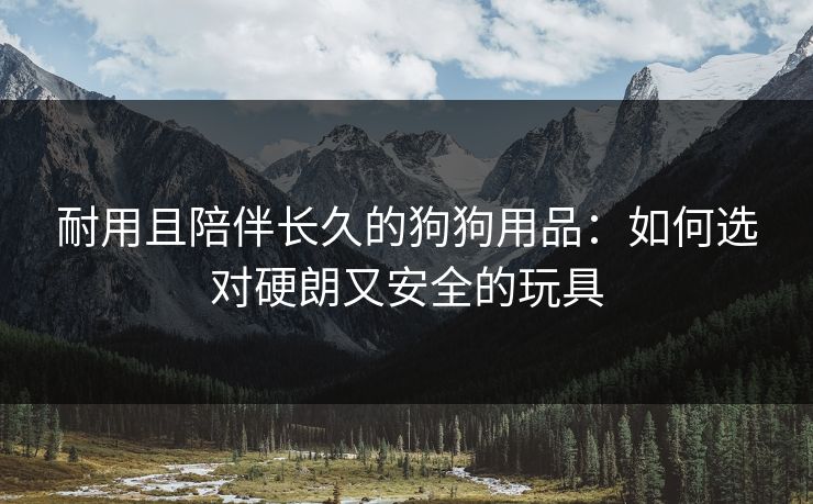 耐用且陪伴长久的狗狗用品：如何选对硬朗又安全的玩具