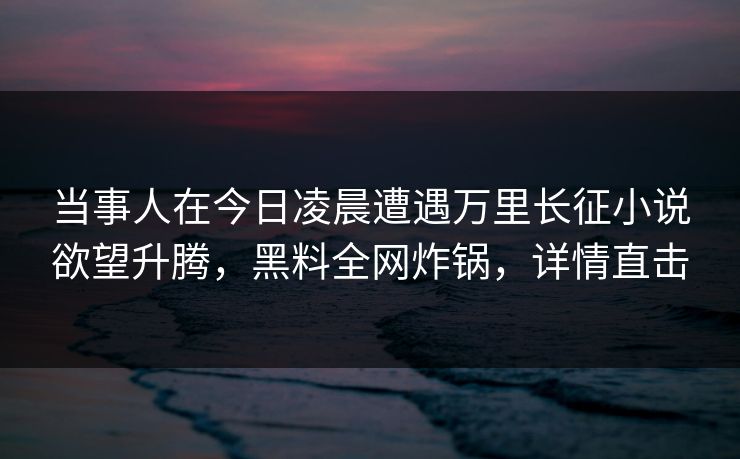 当事人在今日凌晨遭遇万里长征小说欲望升腾，黑料全网炸锅，详情直击