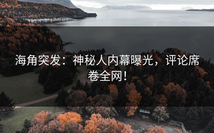 海角突发：神秘人内幕曝光，评论席卷全网！