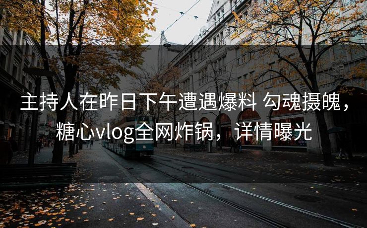 主持人在昨日下午遭遇爆料 勾魂摄魄，糖心vlog全网炸锅，详情曝光