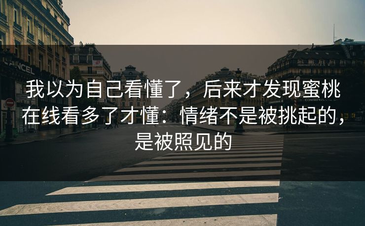 我以为自己看懂了，后来才发现蜜桃在线看多了才懂：情绪不是被挑起的，是被照见的